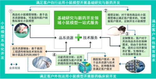 博士创业 卖小白鼠 年入过亿 实验动物成暴利行业