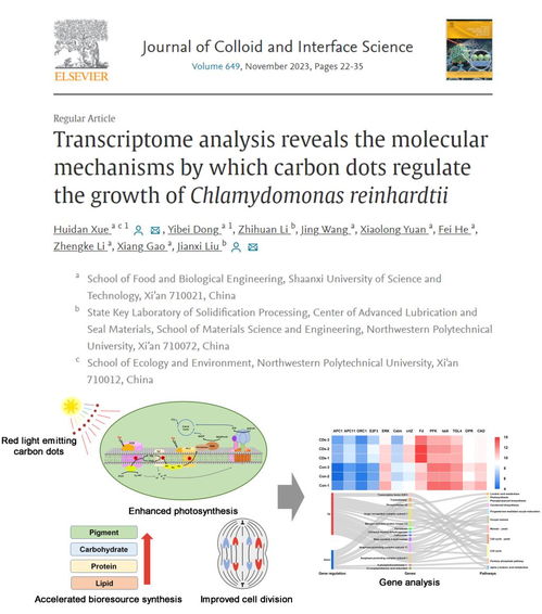 食品学院藻类生物技术与绿色开发团队薛惠丹副教授在国际权威期刊 journal of colloid and interface science 发表最新研究成果